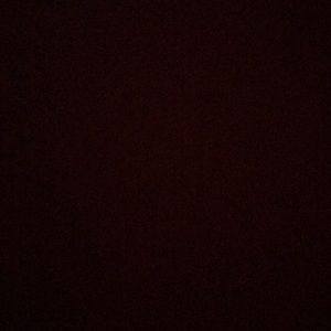 Meet your Posher, Ani